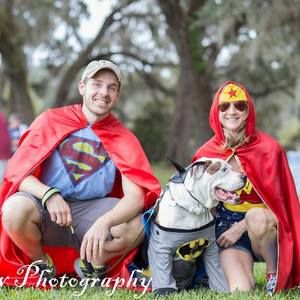 Meet your Posher, Darcie